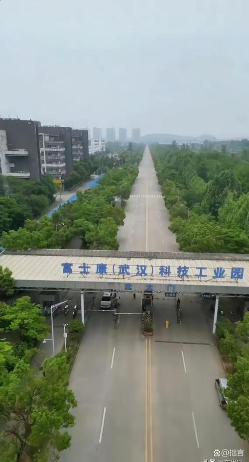 这座2008年建成的超级工厂,坐拥武汉给予的顶级资源,有着航母都能